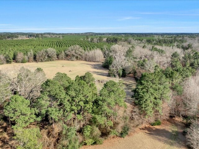 2611 County Road 789, Douglass, TX 75943 - photo 32