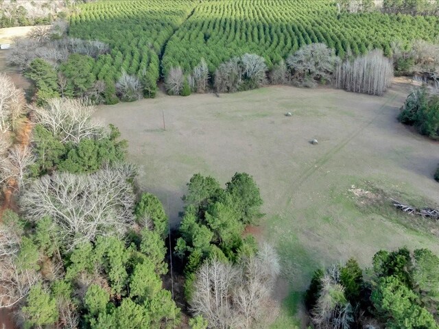 2611 County Road 789, Douglass, TX 75943 - photo 34