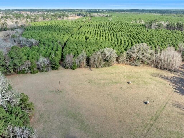 2611 County Road 789, Douglass, TX 75943 - photo 36