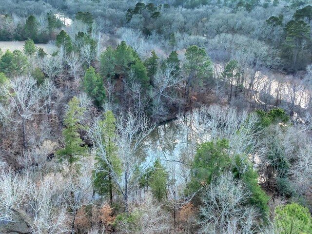 2611 County Road 789, Douglass, TX 75943 - photo 37