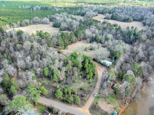 2611 County Road 789, Douglass, TX 75943 - photo 24