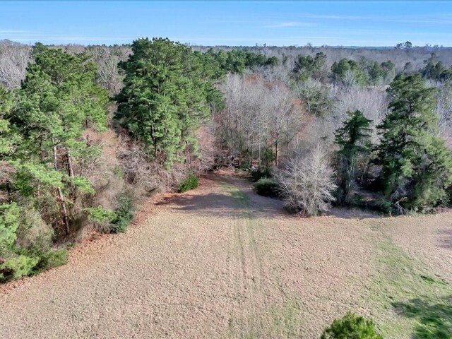 2611 County Road 789, Douglass, TX 75943 - photo 30