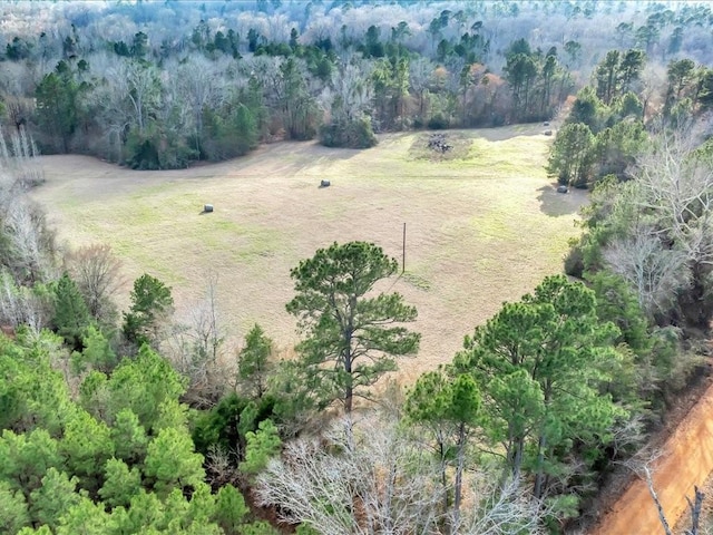 2611 County Road 789, Douglass, TX 75943 - photo 39