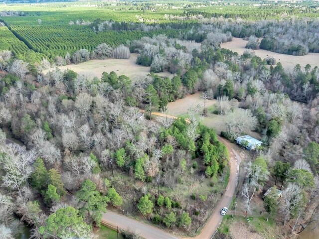 2611 County Road 789, Douglass, TX 75943 - photo 25
