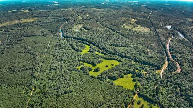 2611 County Road 789, Douglass, TX 75943 - photo 4