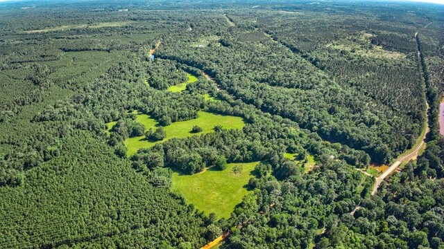 2611 County Road 789, Douglass, TX 75943 - photo 5