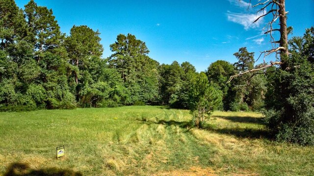 2611 County Road 789, Douglass, TX 75943 - photo 8