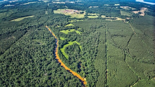2611 County Road 789, Douglass, TX 75943 - photo 13