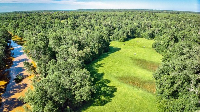 2611 County Road 789, Douglass, TX 75943 - photo 14