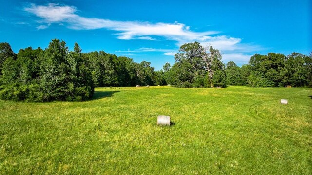 2611 County Road 789, Douglass, TX 75943 - photo 15
