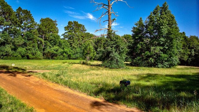 2611 County Road 789, Douglass, TX 75943 - photo 17