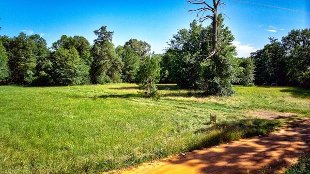 2611 County Road 789, Douglass, TX 75943 - photo 18