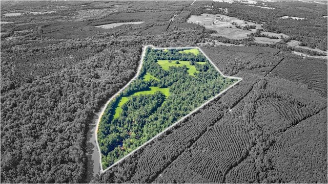 2611 County Road 789, Douglass, TX 75943 - photo 19