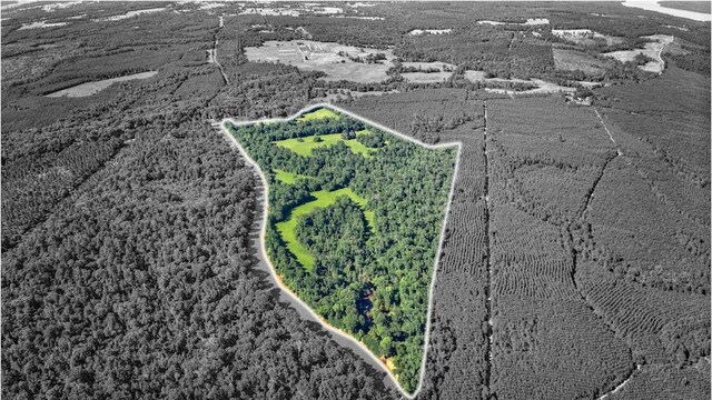 2611 County Road 789, Douglass, TX 75943 - photo 20