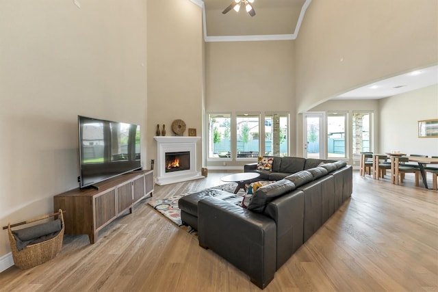 living room with a towering ceiling, light hardwood / wood-style flooring, and a wealth of natural light