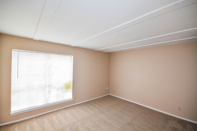 spare room featuring light carpet