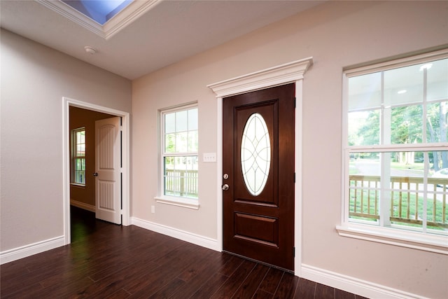 entryway with dark hardwood / wood-style floors and a skylight