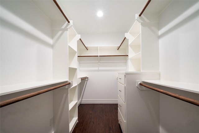 spacious closet featuring dark hardwood / wood-style floors