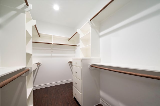 walk in closet with dark hardwood / wood-style flooring