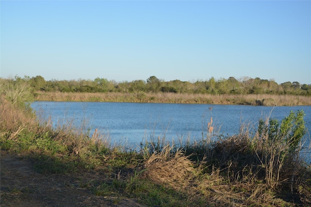 Listing photo 2 for 0 Jasmine St, Fresno TX 77545