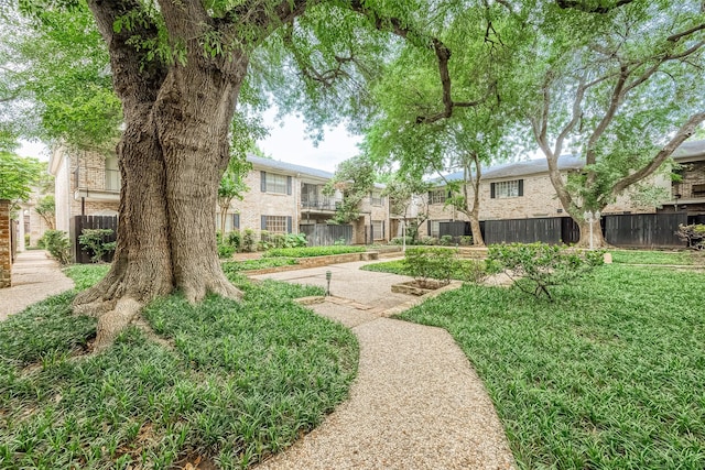 view of community with a yard