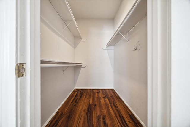 spacious closet with dark wood-type flooring