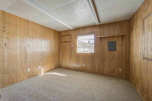 carpeted empty room featuring electric panel and wood walls