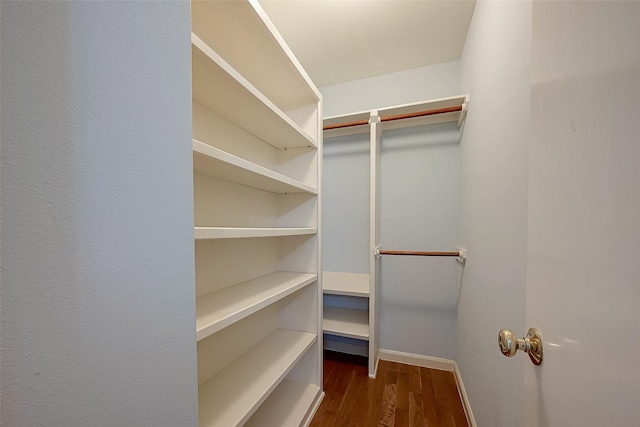 walk in closet with dark wood-type flooring