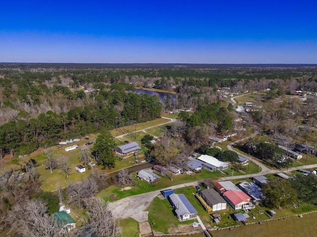 224 Sweetgum St, Trinity, TX 75862 - photo 24