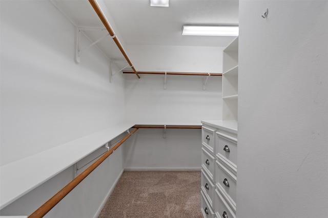 spacious closet featuring light colored carpet