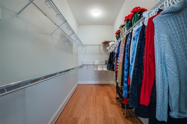 spacious closet with hardwood / wood-style floors