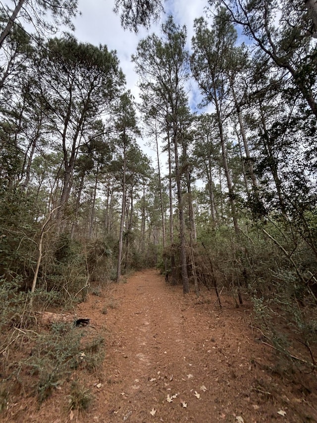 view of nature