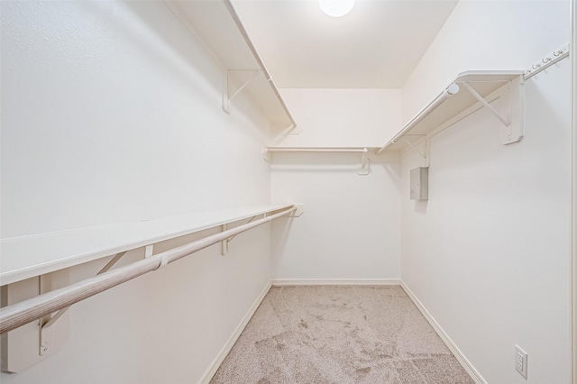 walk in closet featuring light colored carpet