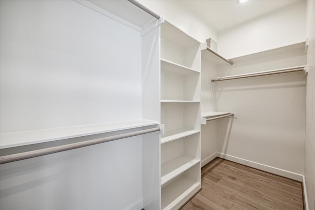 spacious closet featuring wood-type flooring