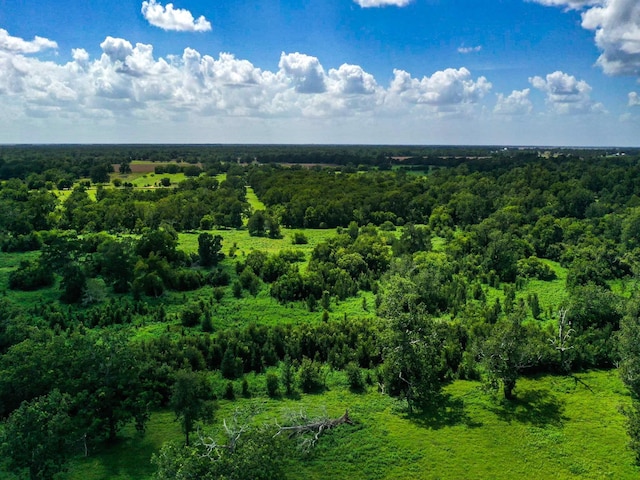 0 County Road 234, Wharton, TX 77488 - photo 3