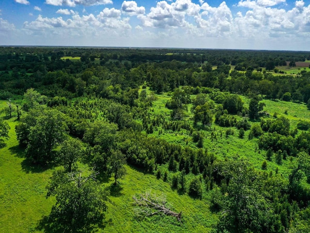 0 County Road 234, Wharton, TX 77488 - photo 4