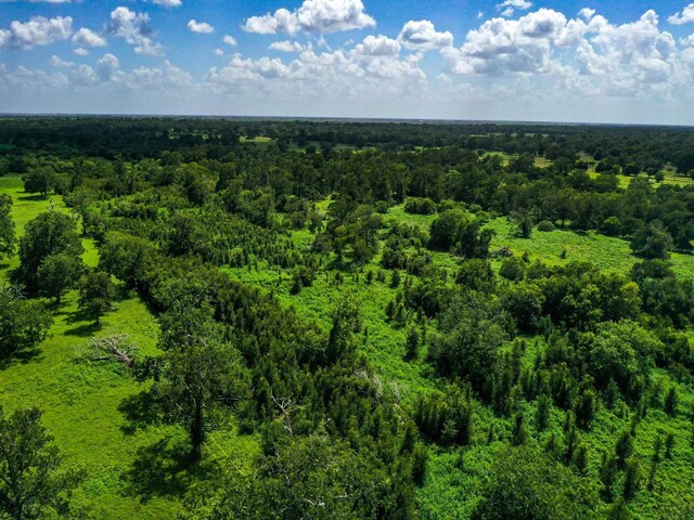 0 County Road 234, Wharton, TX 77488 - photo 1