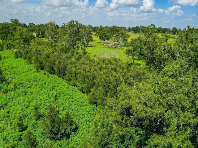 0 County Road 234, Wharton, TX 77488 - photo 7