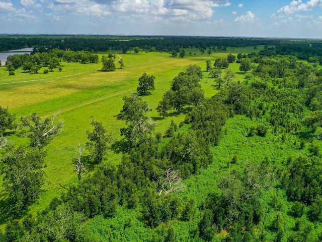 0 County Road 234, Wharton, TX 77488 - photo 8