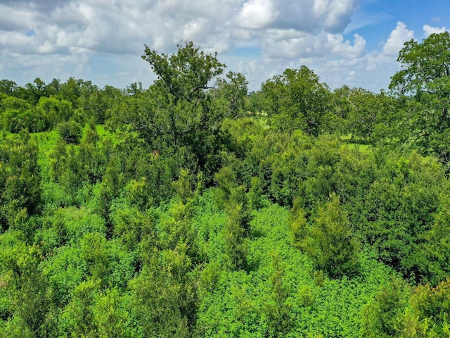 0 County Road 234, Wharton, TX 77488 - photo 9