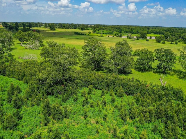 0 County Road 234, Wharton, TX 77488 - photo 10