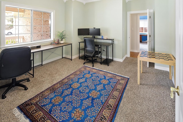 carpeted home office featuring crown molding