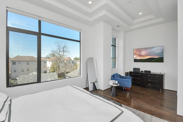 bedroom featuring dark wood-type flooring and a raised ceiling