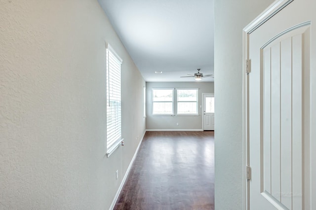 hall featuring dark hardwood / wood-style flooring