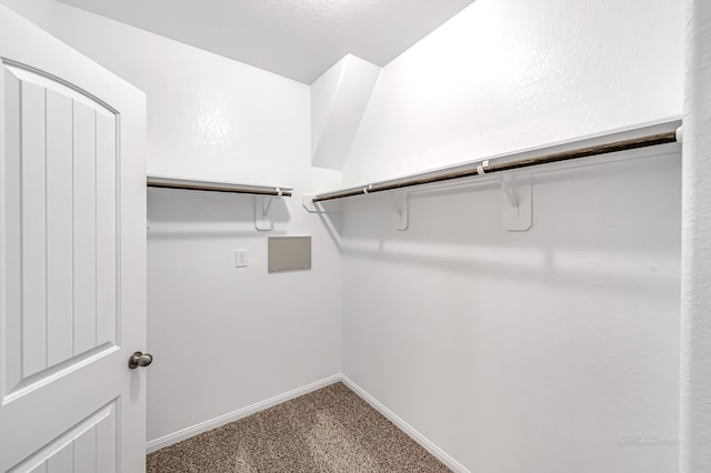 walk in closet featuring carpet floors