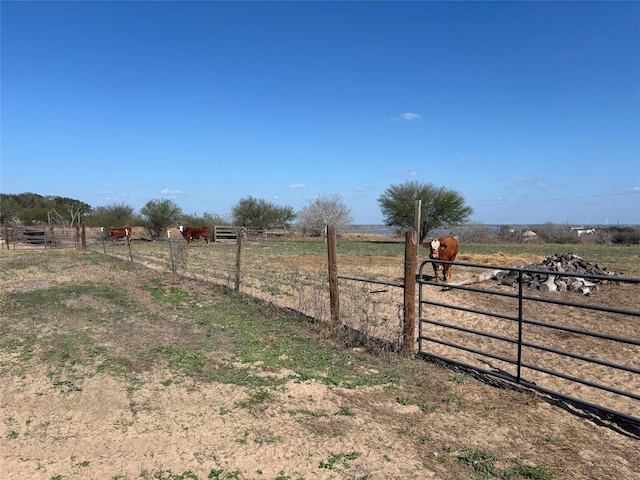 view of yard featuring a rural view