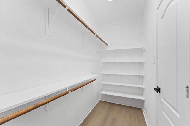 walk in closet featuring light hardwood / wood-style floors