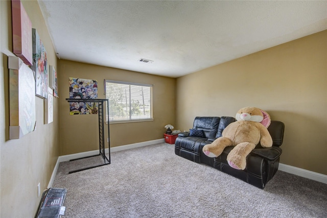 sitting room with a textured ceiling and carpet