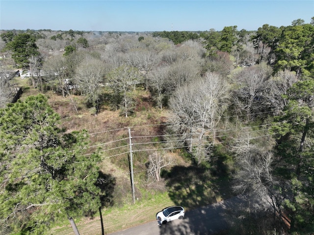 Listing photo 2 for 48 Rollingwood St, Pinehurst TX 77362