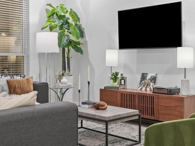 living room featuring wood-type flooring